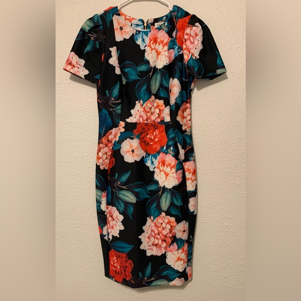Calvin Klein Floral Print Princess Seam Sheath Dress - Size 6